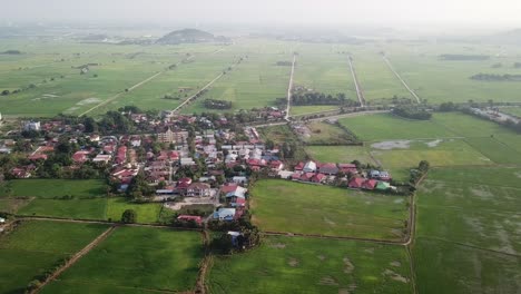 Luftaufnahme-Von-Grünen-Reisfeldern-Und-Malaysischem-Dorf-Am-Morgen